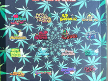 Load image into Gallery viewer, Stizzy Variety Pack 16-1oz Jars in a box Live Resin
